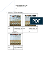 LAPORAN MIP BAKTERIOLOGI AIR