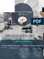 Sistema Central. Equipo 1