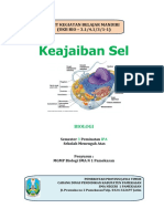 UKBM 3.1 Sel