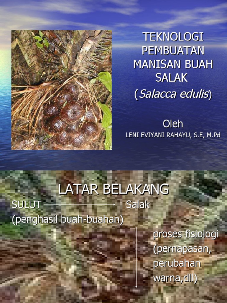 Manisan Salak Pangu: Proses dan Teknik | PDF
