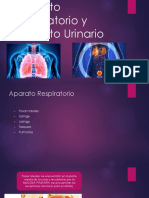Aparato Respiratorio y Aparato Urinario - Morfo 2021