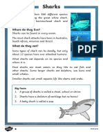 All About Sharks Reading Comprehension