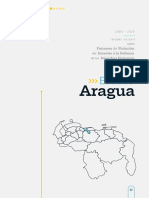 Informe Estado Aragua