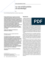 Género Streptococcus: Una Revisión Práctica para El Laboratorio de Microbiología