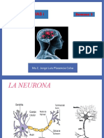 PPT SEMANA 3 NEURO 1