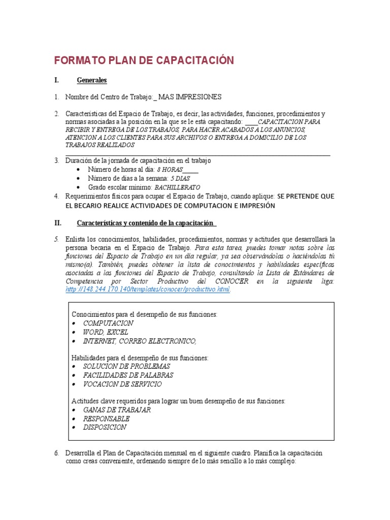 Plan de Capacitación en Impresiones | PDF