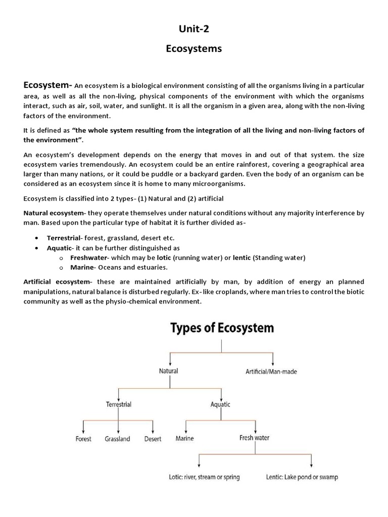 Environment and Ecology Notes Unit 2 | PDF | Food Web | Ecosystem