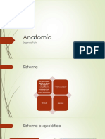 Anatomía