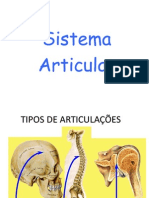 Sistema Articular