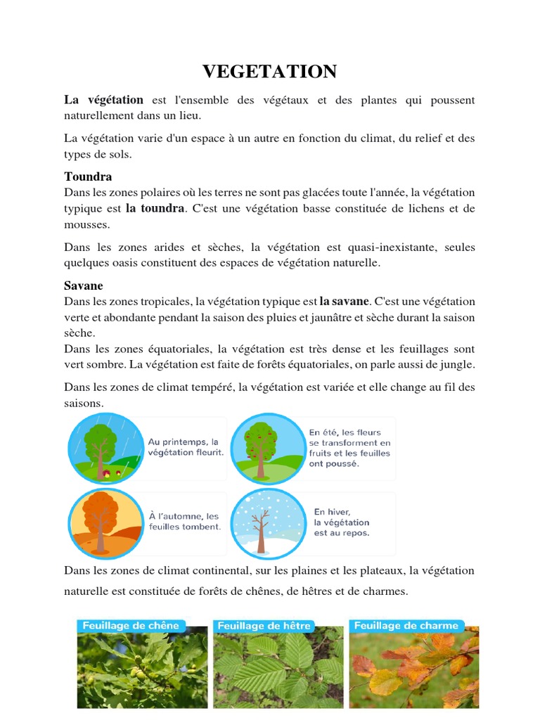 Relation entre climat et végétation | PDF | Sol (pédologie) | Matière ...
