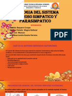 Fisiologia Del Sistema Nervioso Simpatico y Parasimpatico