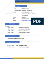 Curriculum Vitae Riska