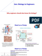 1 Introduction To Biology 1628949901682