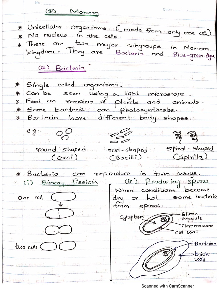 Form II Biology Chapter 7 Note 2 | PDF