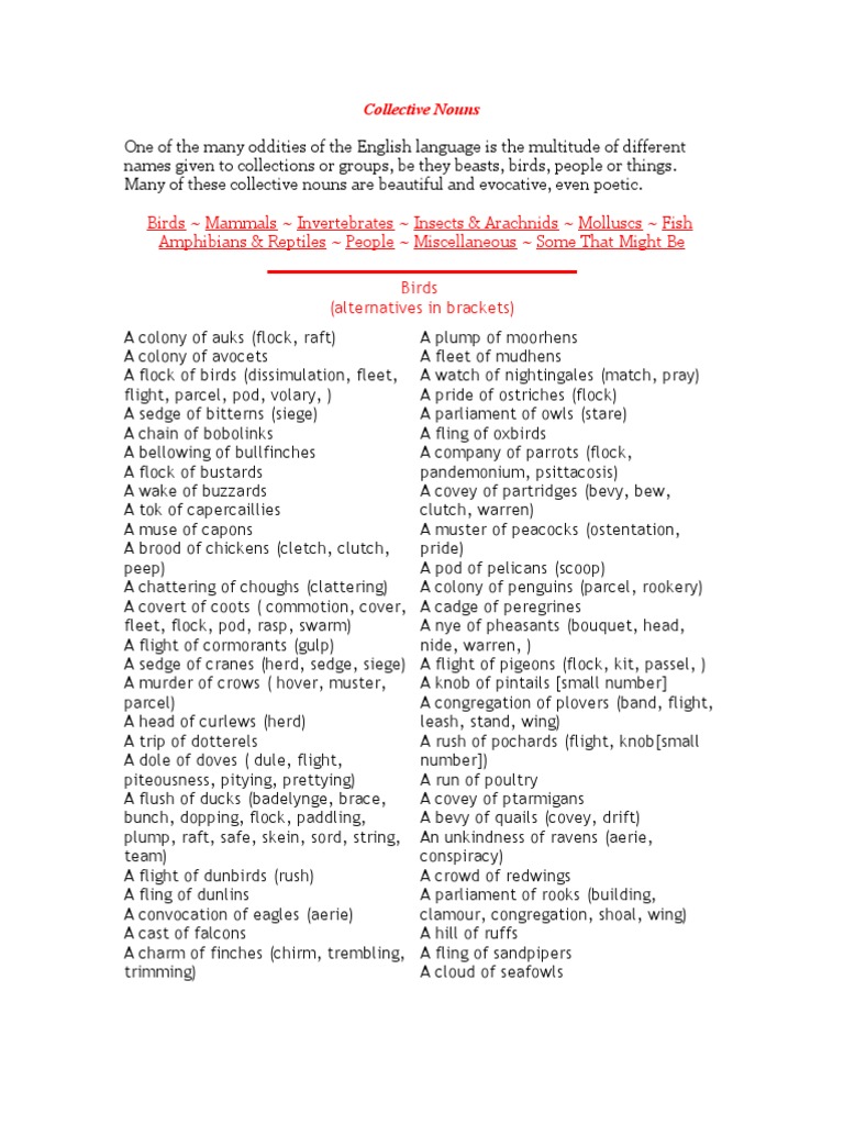 Collective Nouns Fish Birds