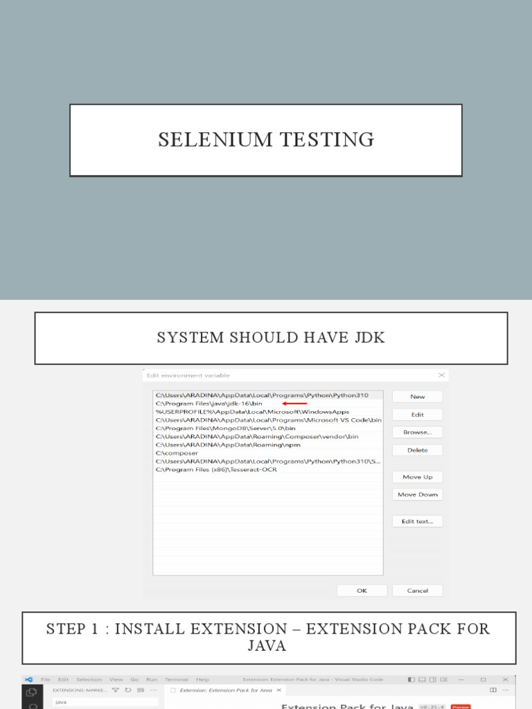 Selenium Testing | PDF | Zip (File Format) | Software Development