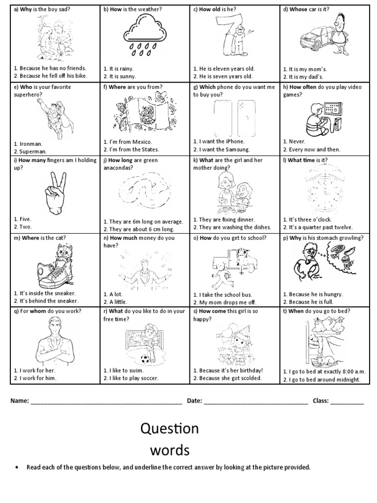 Question Words Reading Comprehension Exercises - 145926 | PDF