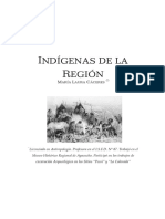Indigenas de La Region
