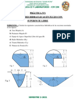 Práctica Nº1 - Civ 230