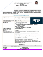 Formato Proyectos Del 17 Al 21 de Ene.