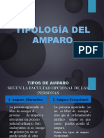 Tipos de amparo según la Constitución