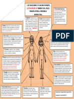 Examen Cefalo-Caudal en Dibujos.