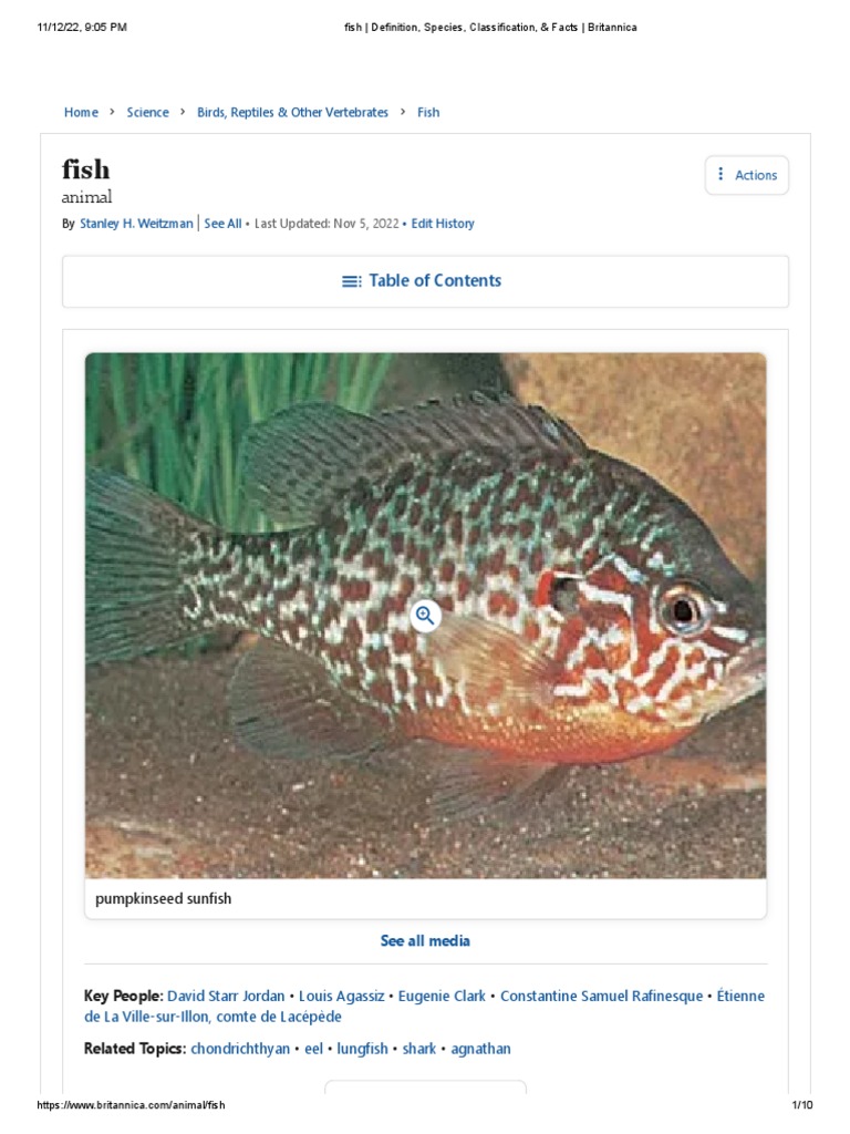 Fish Definition, Species, Classification, & Facts Britannica PDF