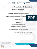 Ensayo Alimentos Transgénicos