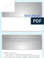 Osul Nazal