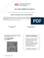 Diploma de Especialista: Ruben Marcelo Salas Montesinos