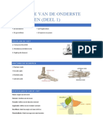 Anatomie Van de Onderste Ledematen