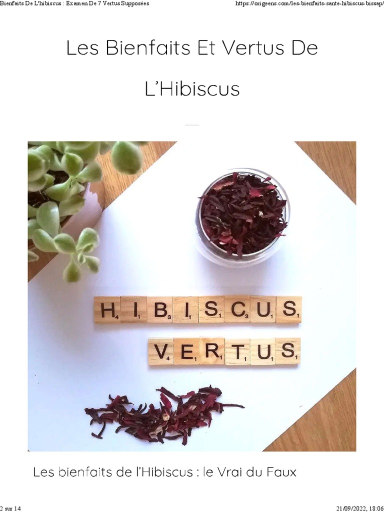 L'Hibiscus bienfaits et vertues 
