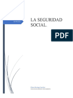 Ensayo Seguridad Social