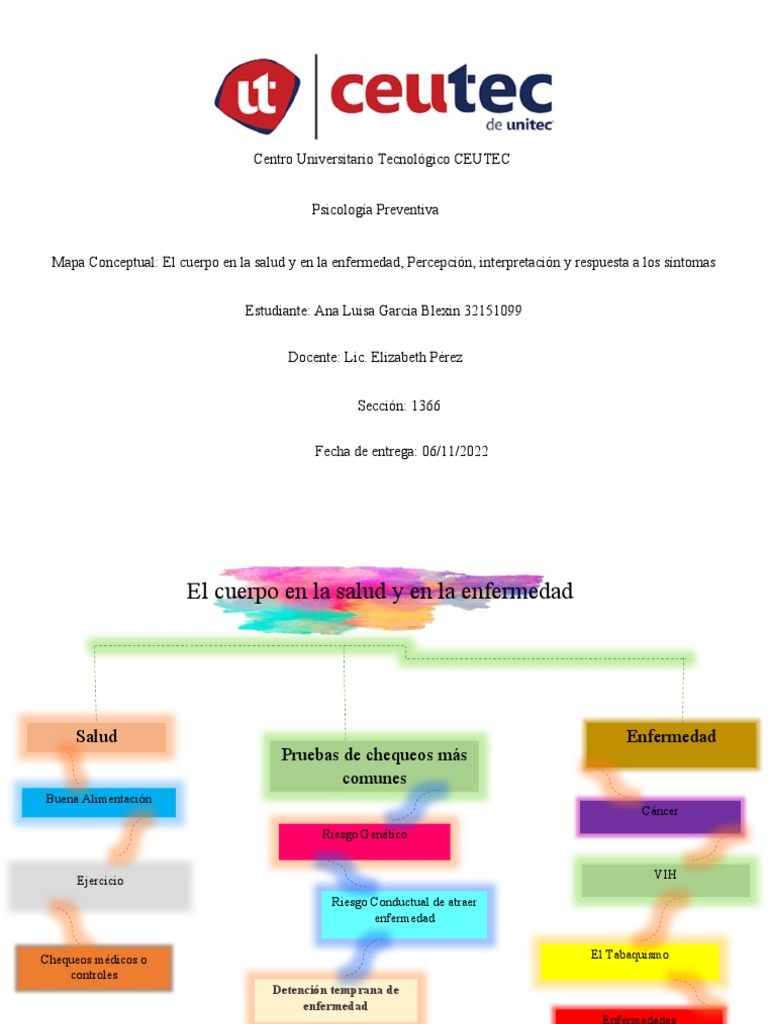 Mapa Conceptual: Cuidado de la Salud | PDF | Cuidado de la salud ...