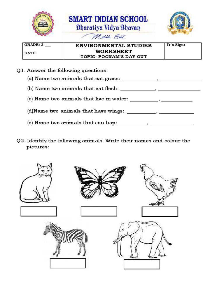 Poonams Day Out Worksheet PDF