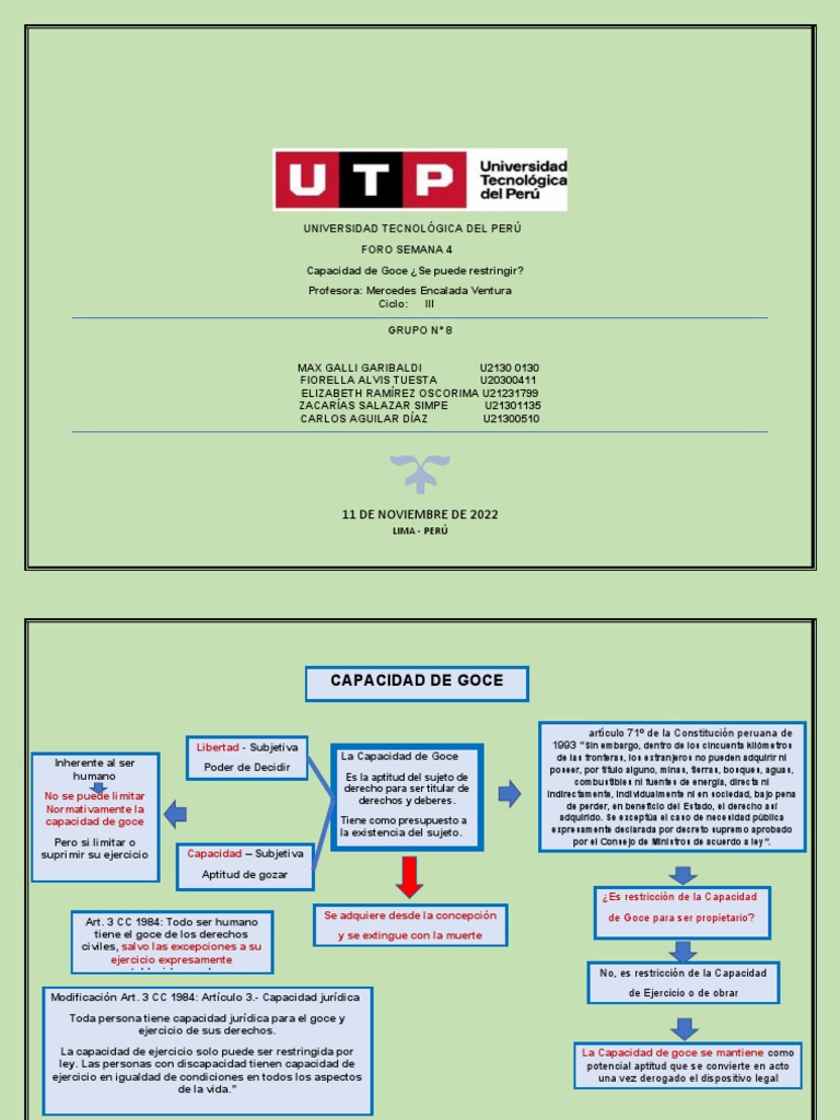 Capacidad de Goce PDF Perú Principios
