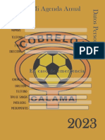 Agenda Cobreloa BackUp