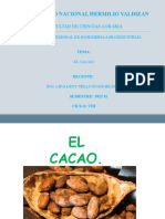 El Cacao y Manejo