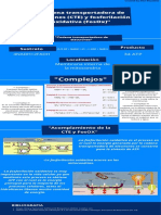 Infografia 3 - Riquelme