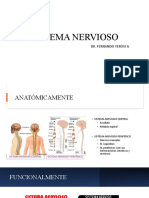 Sistema Nervioso: Dr. Fernando Yerovi G