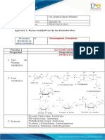 Unidad 3 - Tarea 4 Metabolismo - Yuli Andrea Garcia M