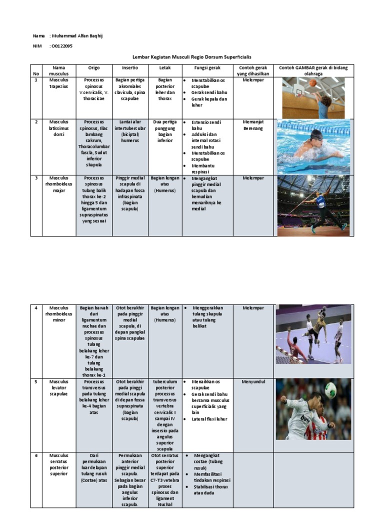Lembar Kegiatan Kelompok Musculi Regio Dorsum | PDF | Kesehatan Holistik