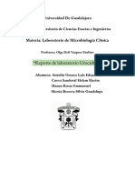 Reporte de Laboratorio Urocultivo