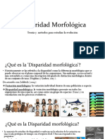 Disparidad Morfológica Clase