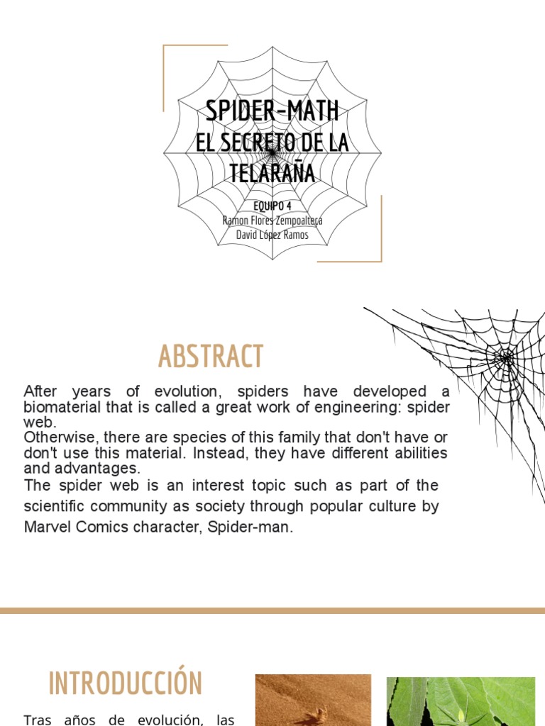 Spider Math | PDF | Telaraña | Fuerza