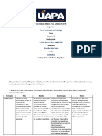 Ética profesional psicólogo UAPA cuadro comparativo