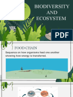 Biodiversity and Ecosystem