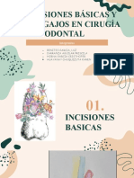 Periodoncia-Grupo 03 Incisiones y Colgajos