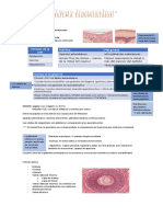 Repaso 2do Semestre