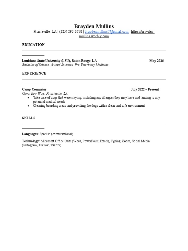 Resume Template PDF - 1720243887